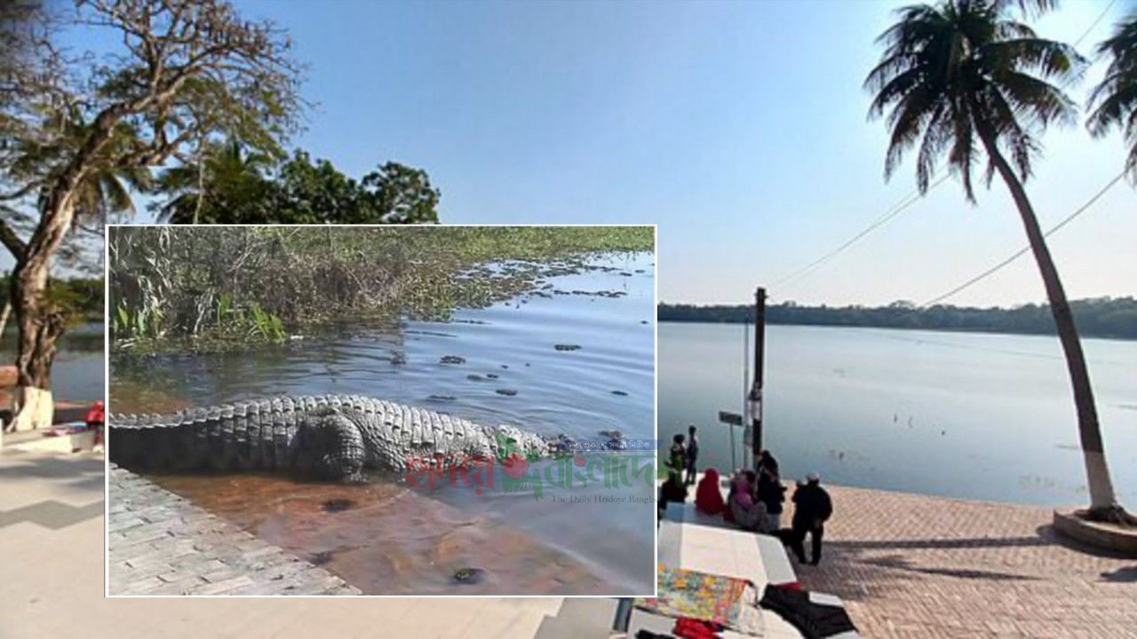 বাগেরহাটের খানজাহান আলী মাজারের দিঘিতে কুমিরের হামলা,নিখোঁজ ফাতেমা নামের  ৭ বছরের শিশু