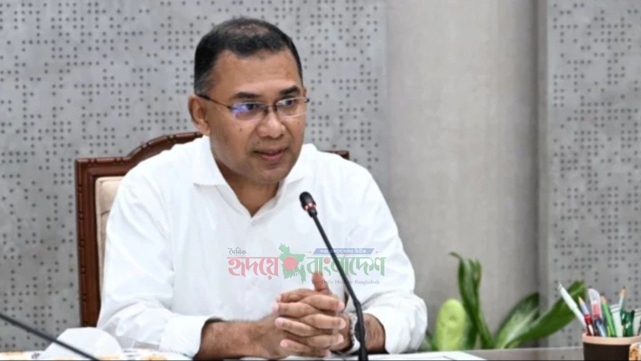মশা মারা শিখতে যুক্তরাষ্ট্রে নয়, ডোবার পাশে বসতে বললেন প্রধানমন্ত্রী